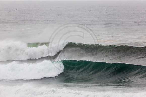 GhigliaA_140301_LJ-607