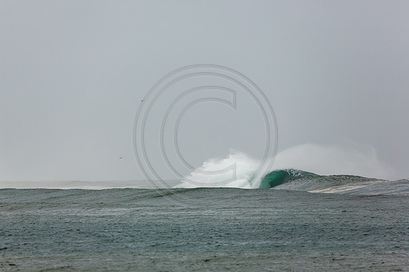 GhigliaA_140301_LJ-248