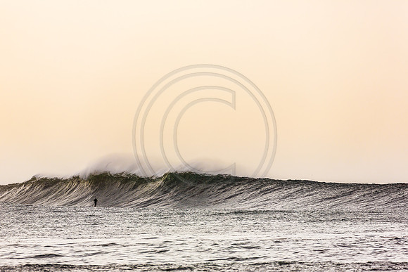 GhigliaA_140301_LJ-439