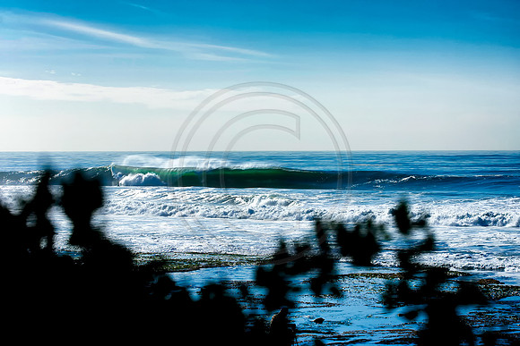 GhigliaA_120106_cali0356