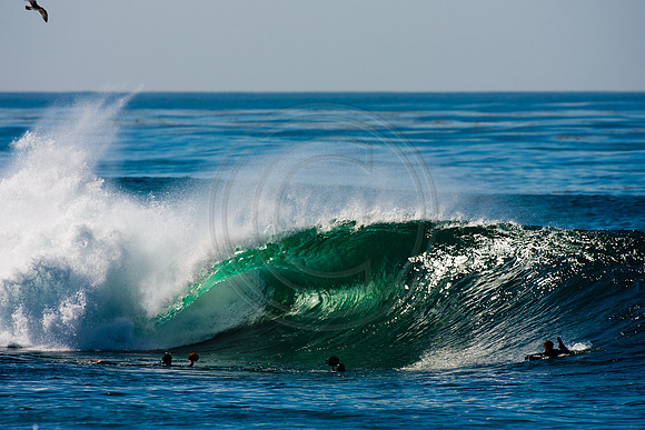 GhigliaA_120127_cali0171