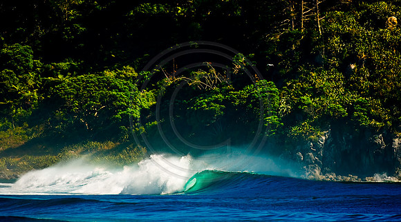 GhigliaA_080123_nz0072