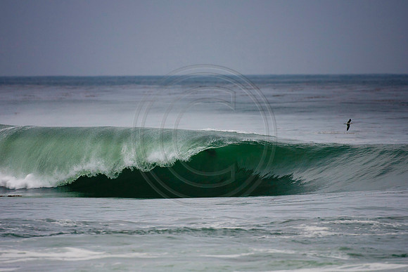 GhigliaA_110901_cali0006