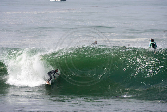 GhigliaA_110901_cali0280