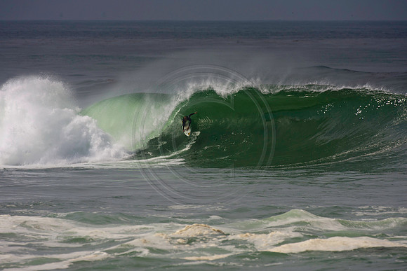 GhigliaA_110901_cali0260