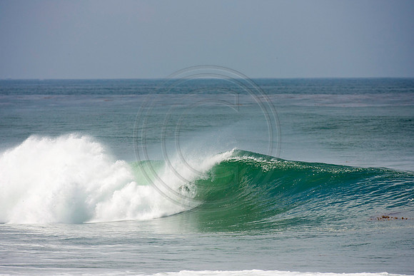 GhigliaA_110901_cali0321