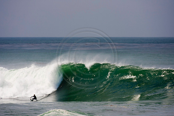 GhigliaA_110901_cali0376
