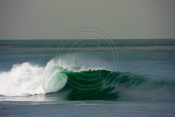 GhigliaA_110901_cali0361