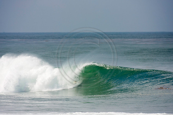 GhigliaA_110901_cali0322
