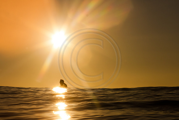 GhigliaA_120126_cali0768