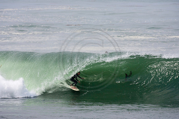 GhigliaA_110901_cali0287