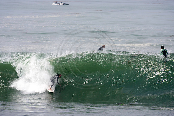 GhigliaA_110901_cali0279