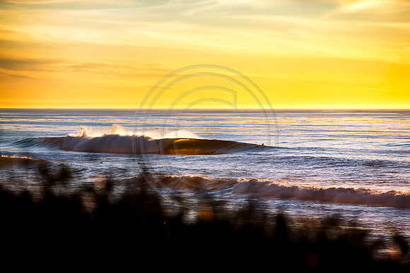 GhigliaA_120105_cali0009