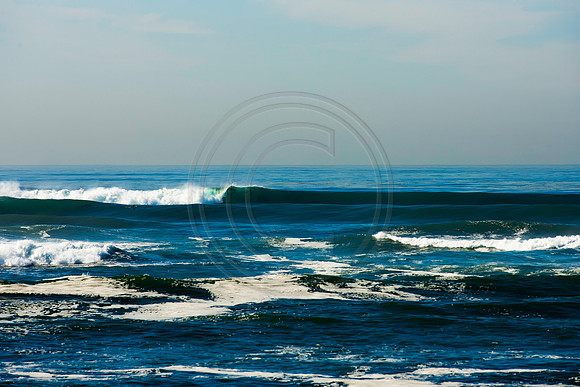 GhigliaA_120106_cali0350