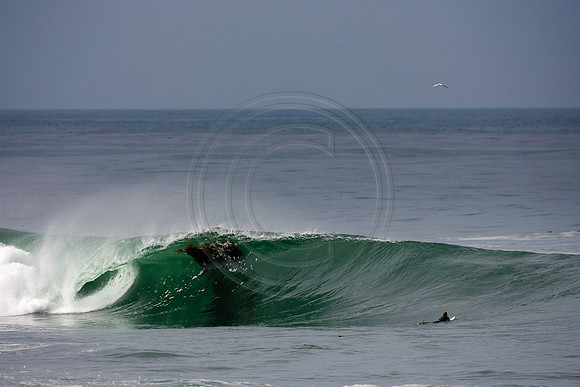 GhigliaA_110901_cali0134