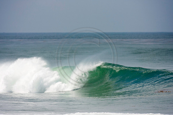 GhigliaA_110901_cali0320