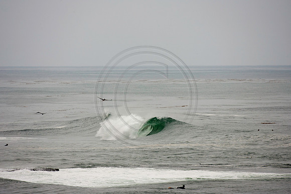 GhigliaA_110902_cali0037