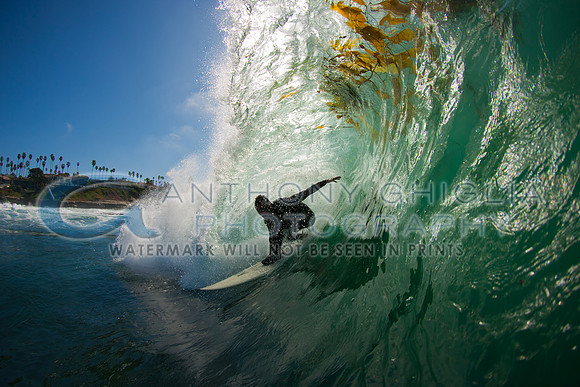 GhigliaA_120210_cali0206
