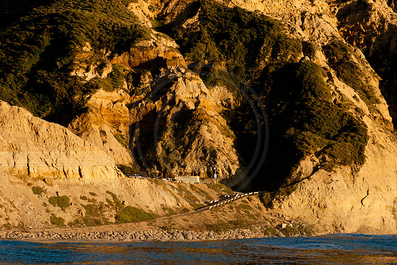 GhigliaA_120126_cali0772