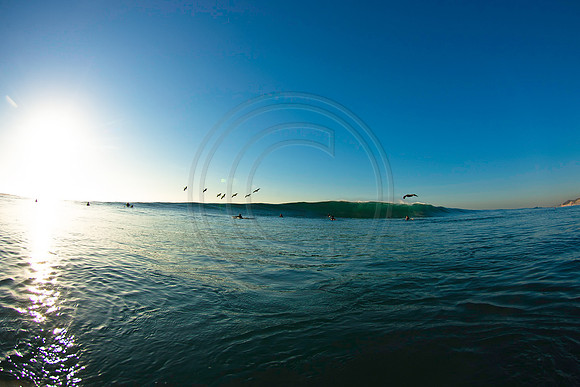 GhigliaA_120106_cali0152