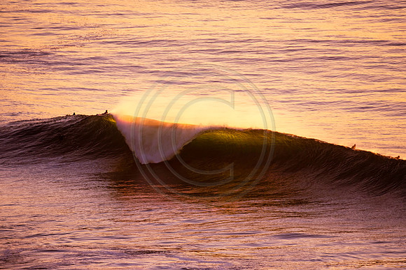 GhigliaA_120106_cali0172
