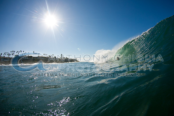 GhigliaA_120210_cali0037