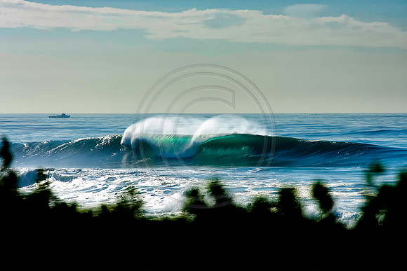 GhigliaA_120106_cali0378