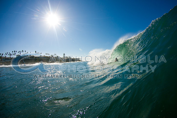 GhigliaA_120210_cali0039