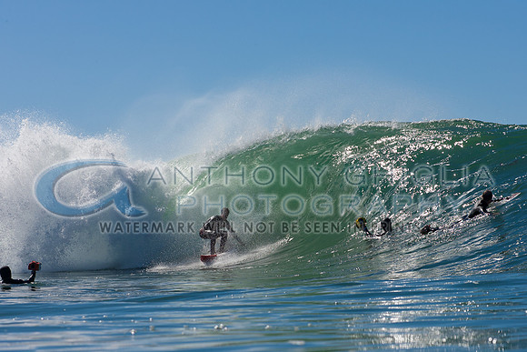GhigliaA_120219_cali0133