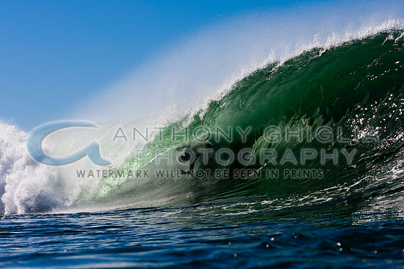 GhigliaA_120219_cali0035