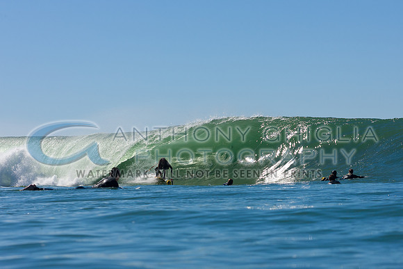 GhigliaA_120219_cali0208