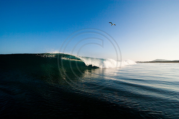 GhigliaA_070402_BAJA3364.jpg