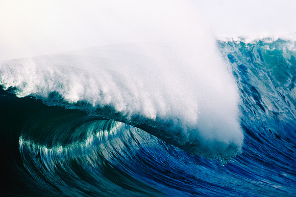 Bluelip