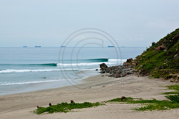 GhigliaA_090910_SC1584.jpg