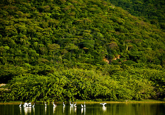 GhigliaA_090909_SC0928.jpg