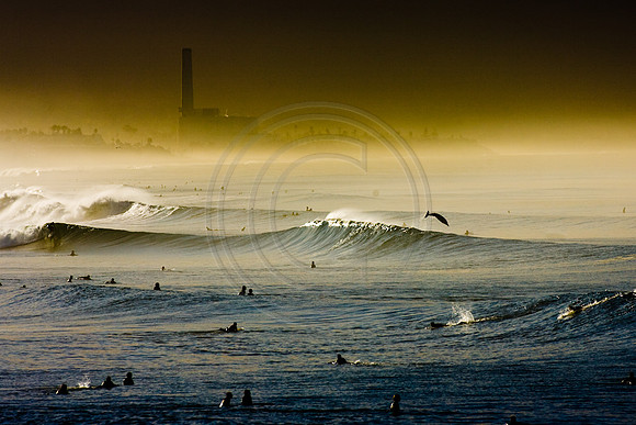 GhigliaA_071022_cali0624.jpg