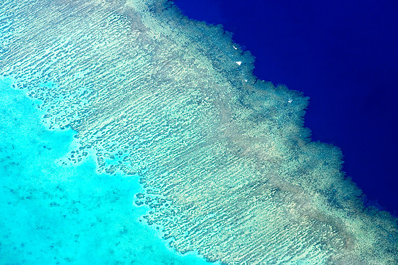 Great Sea Reef