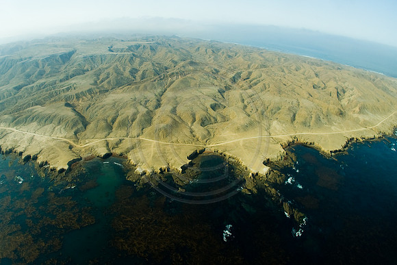 GhigliaA_060603_tivi2320.jpg