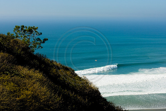 GhigliaA_071205_cali0586.jpg