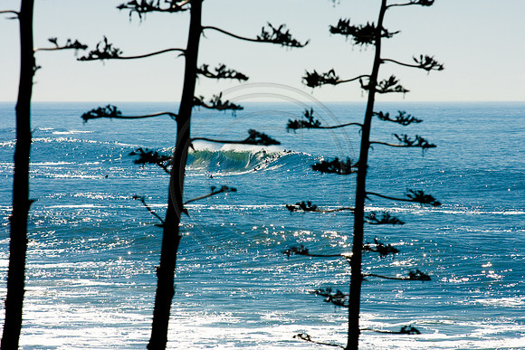 GhigliaA_0612_CALI0293.jpg