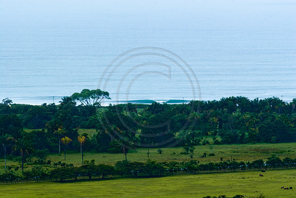 GhigliaA_060523_costa1262.jpg
