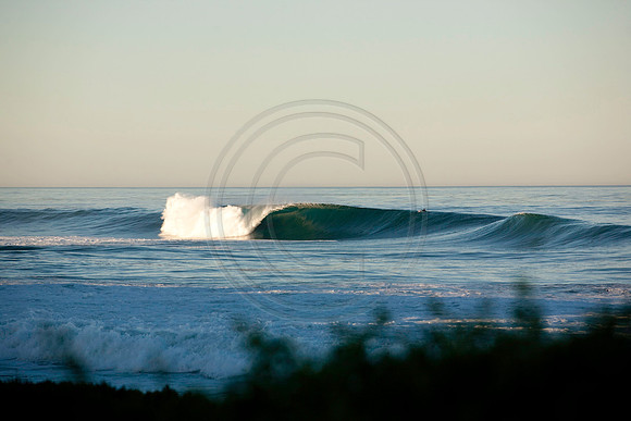 GhigliaA_101103_cali0142