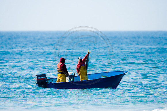 GhigliaA_060602_tivi1706.jpg