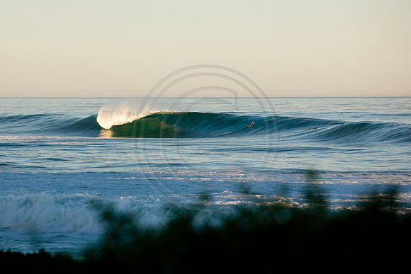GhigliaA_101103_cali0166