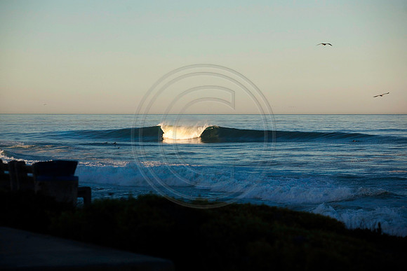 GhigliaA_101103_cali0169