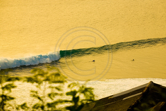 GhigliaA_080524_bali3800.jpg