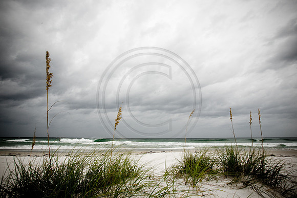 GhigliaA_080831_florida0446.jpg