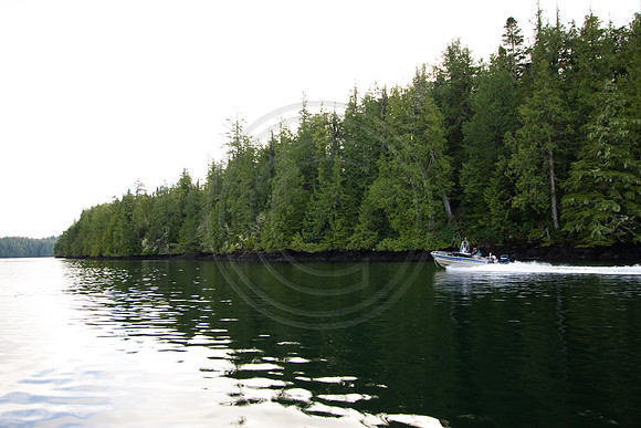 GhigliaA_081211_BC2411.jpg
