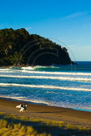 GhigliaA_080127_nz0534.jpg