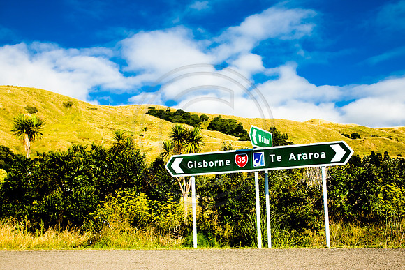 GhigliaA_080130_nz0047.jpg